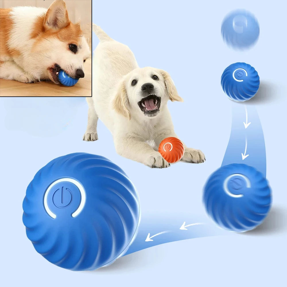 Pelota Interactiva Automática para Perros - Recargable USB