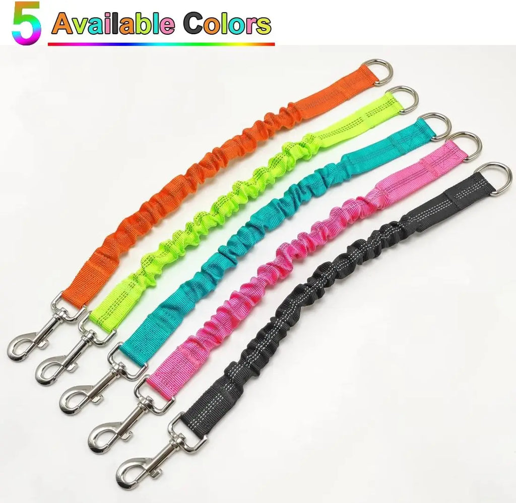 Correa Extensible para Perros - Ajustable con Hebilla Metálica