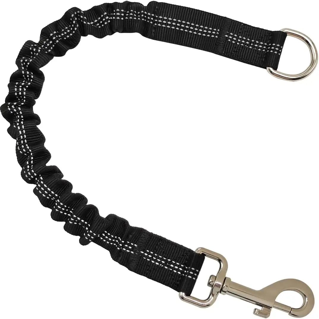Correa Extensible para Perros - Ajustable con Hebilla Metálica