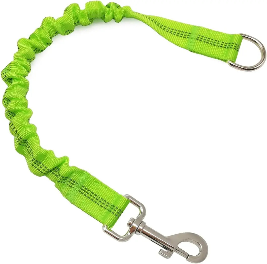Correa Extensible para Perros - Ajustable con Hebilla Metálica