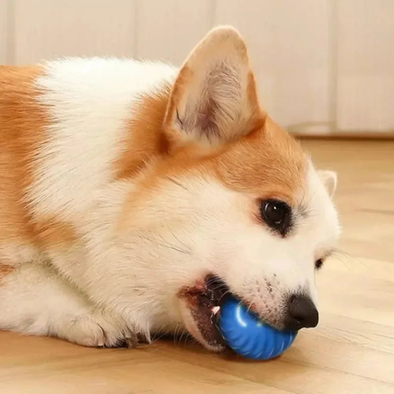 Pelota Interactiva Automática para Perros - Recargable USB