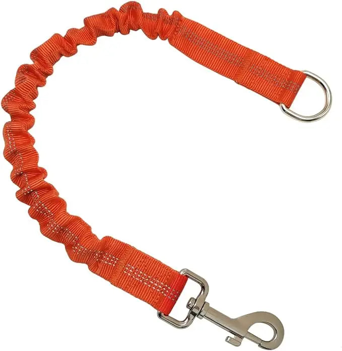 Correa Extensible para Perros - Ajustable con Hebilla Metálica