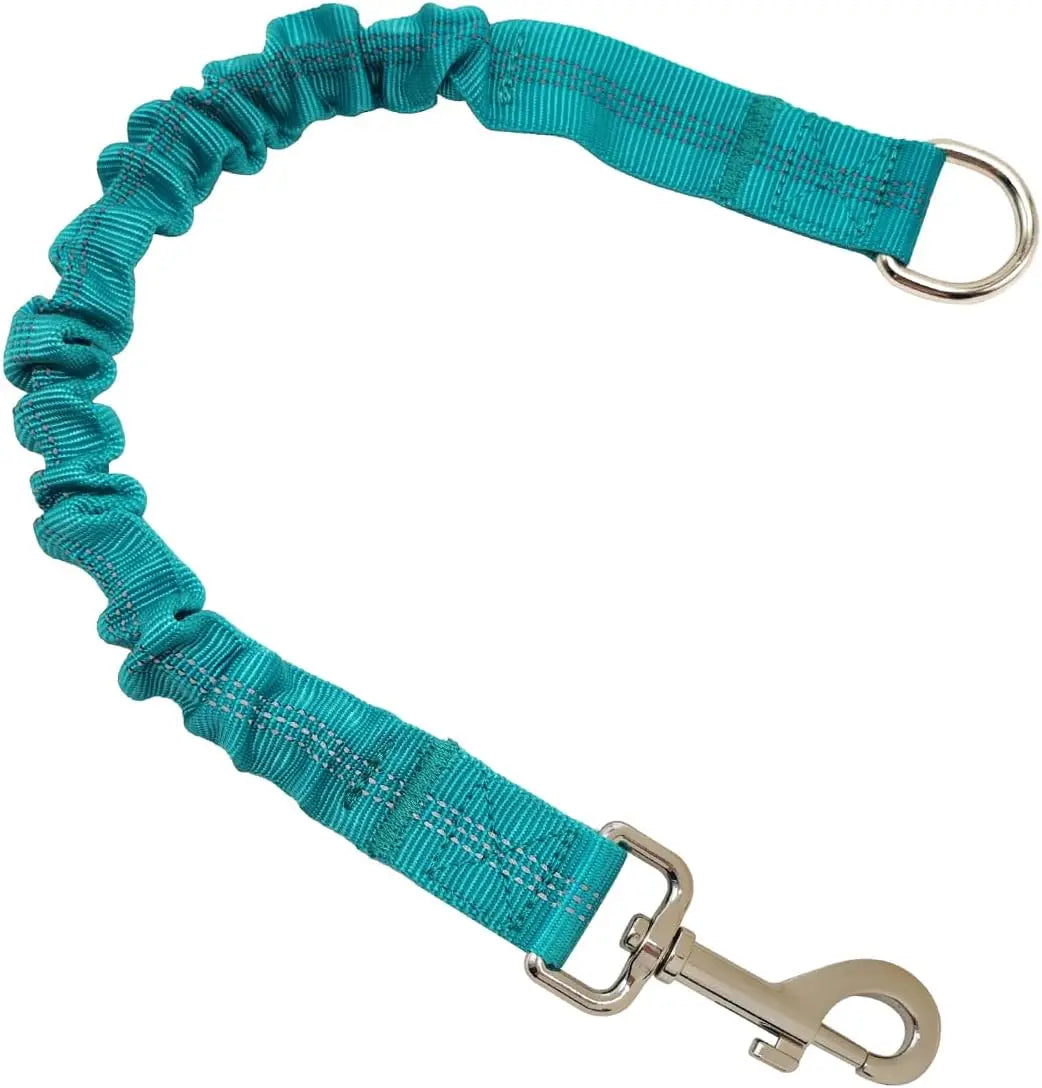 Correa Extensible para Perros - Ajustable con Hebilla Metálica