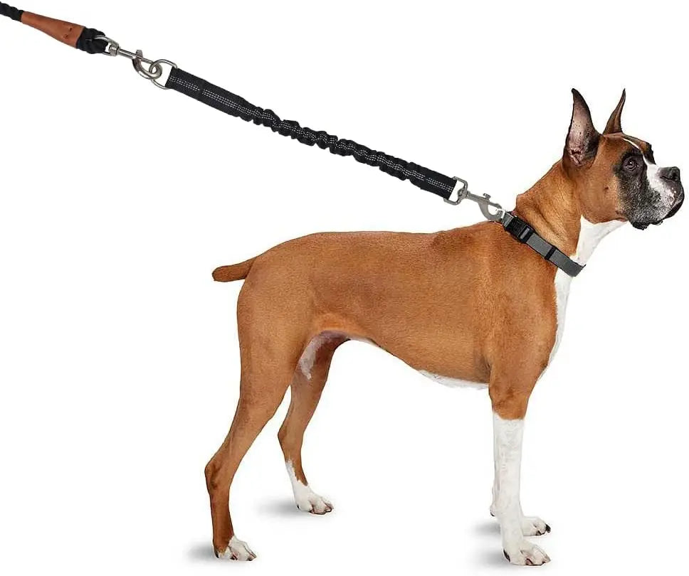 Correa Extensible para Perros - Ajustable con Hebilla Metálica