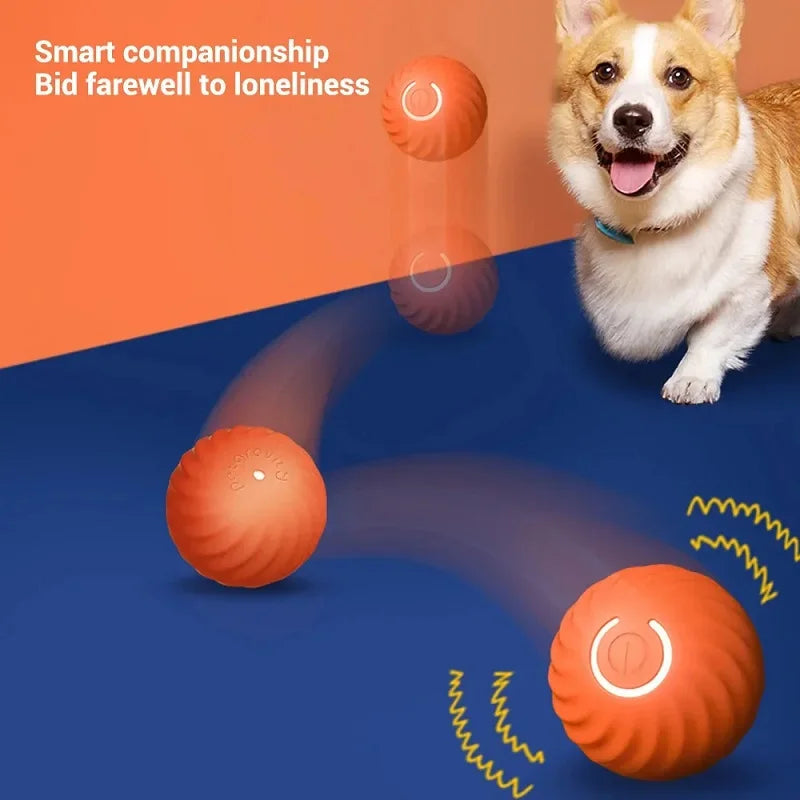 Pelota Interactiva Automática para Perros - Recargable USB
