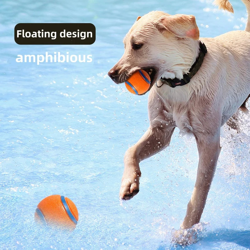 Pelota Resistente para Perros - Juguete Interactivo