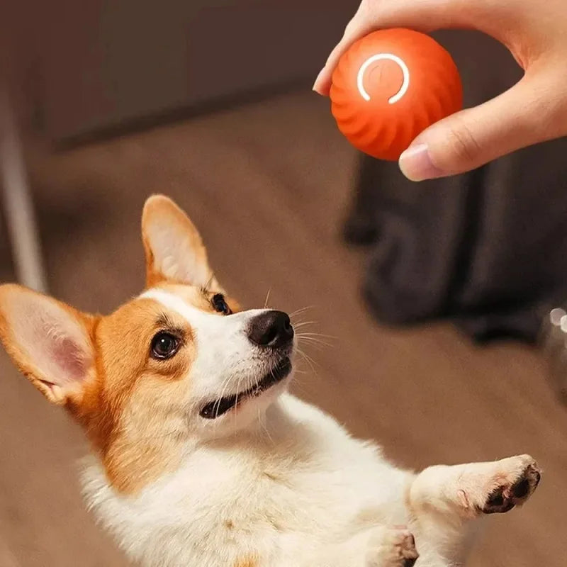 Pelota Interactiva Automática para Perros - Recargable USB