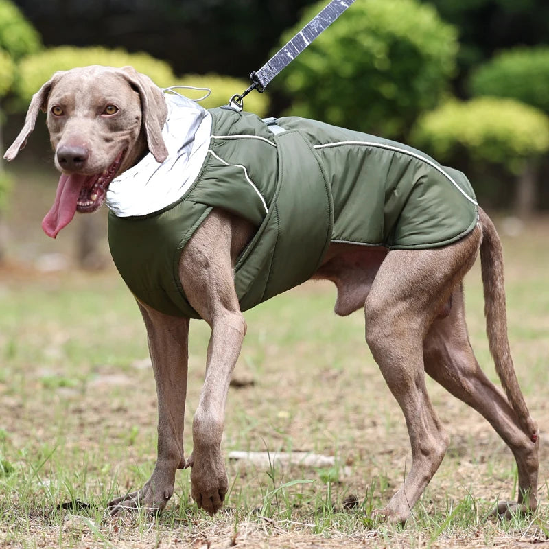 Chamarra de Invierno para Perros - Impermeable, Cálida y Reflectante