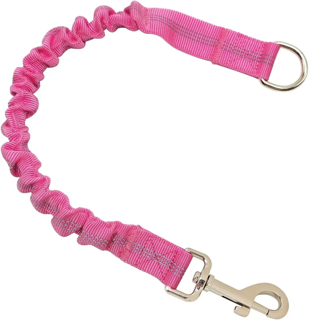Correa Extensible para Perros - Ajustable con Hebilla Metálica
