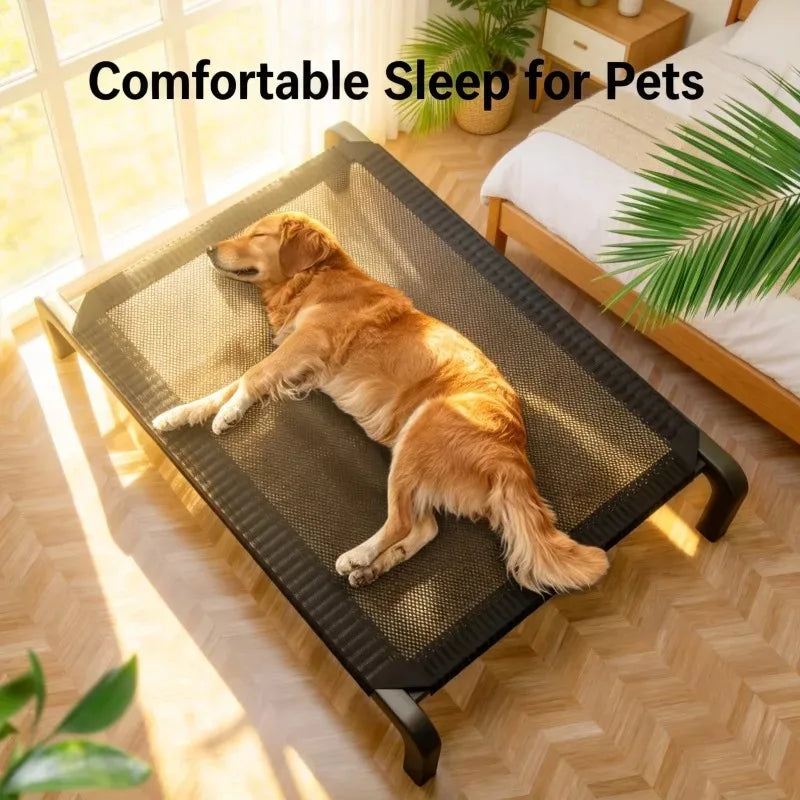 Cama Plegable para Perros con Dosel - Elevada y Ventilada